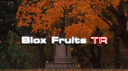 Blox Fruits Türkiye Banner