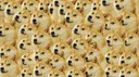 CANILE DI POGGO! [UFFICIALE] banner