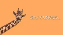 Curious Creature Collective banner