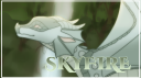 Skyfire Discord server banner