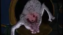 ๊ณ๐๐ต๐ฎ๐พ๐ฝ๐ฑ๐ฎ๐ป๐ธ๐ถ๐ช๐ท๐ฒ๐ช๊ณ(13+) Discord server banner