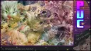 Positive Vibes Central banner