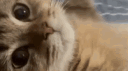 ☻ 𝗚𝗼𝗼𝗱 𝗧𝗶𝗺𝗲𝘀 ☻ banner
