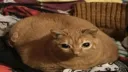 When™ but Discord Discord server banner
