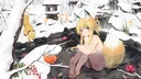Animelovers erp banner