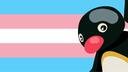 r/TransBr Banner