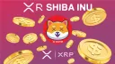 XR SHIBA INU Token Official banner