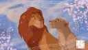 Circle of Life™ Discord server banner