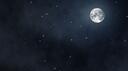 Night City  ナイトシティー Banner