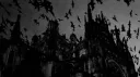 Son Discord server banner