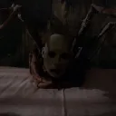 Guild Knight's Discord Server Banner