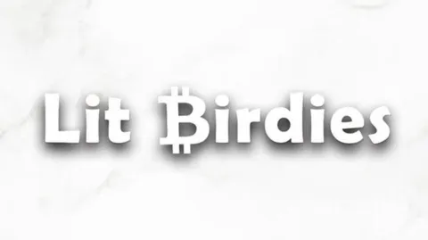 Lit Birdies banner