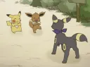 Pokémon Breeders Association banner