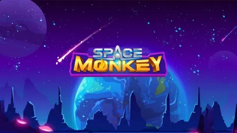 Space Monkey banner