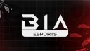 BIA eSports - Brothers In Arms banner