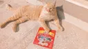 COCOMO Discord server banner