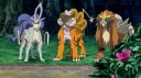 International Pokemon Agency server banner