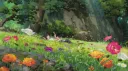 sukio's forest !! ☆ banner