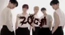 20cm banner