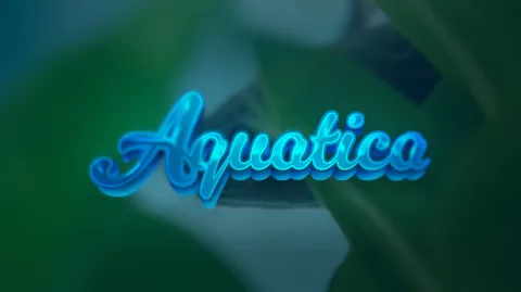 Aquatica banner
