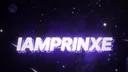 Prinxe ENT banner