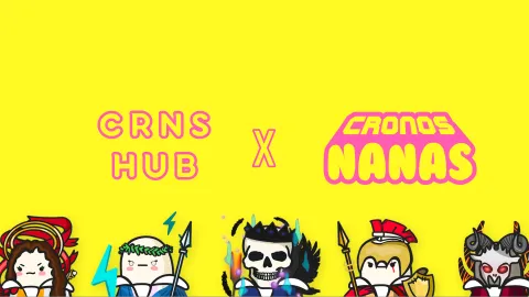 CRNS Hub banner