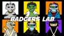 BADGERS LAB banner