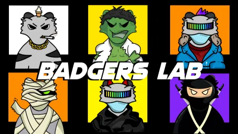 BADGERS LAB banner