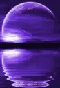 ใ๐๐ก๐ ๐๐ซ๐๐๐ง๐ ๐๐ก๐ซ๐จ๐ง๐ข๐๐ฅ๐๐ฌใ Discord server banner