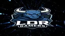 LDR GAMERS Discord server banner