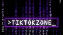 TikTok Zone banner