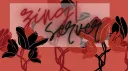 zing! banner