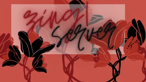 zing! banner