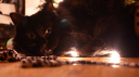 r/blackcats Discord server banner