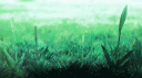 iced 🚧 updating... Discord server banner