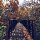 Forgotten One’s Banner