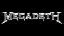 Megadeth banner