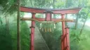 Shrine World banner