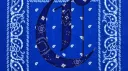 ( WCC )West coast crips banner