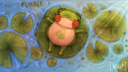 KUHALE 🍀🐸 | Art Community ✤ Art Commissions ✤ Art Trades ✤ Events ✤ Gaming ✤ Fun Stuff! server banner