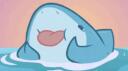 SharkShine  Banner