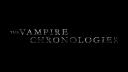 The Vampire Chronologies Banner