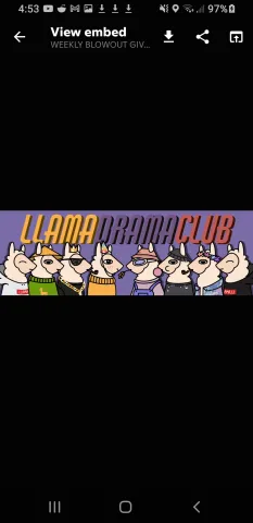 Llama Drama RUG CLUB banner