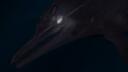 Bloogia Studios Banner