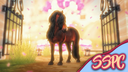 Star Stable Photography Center Banner
