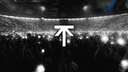THE TRIBBE ⤒ Banner