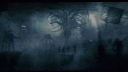 Veiled banner