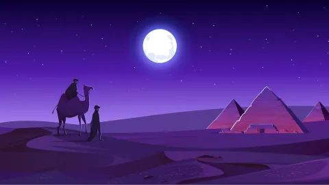 Chilled Camels banner