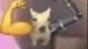 Hibernating Chungus banner