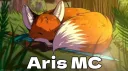 Aris SMP banner
